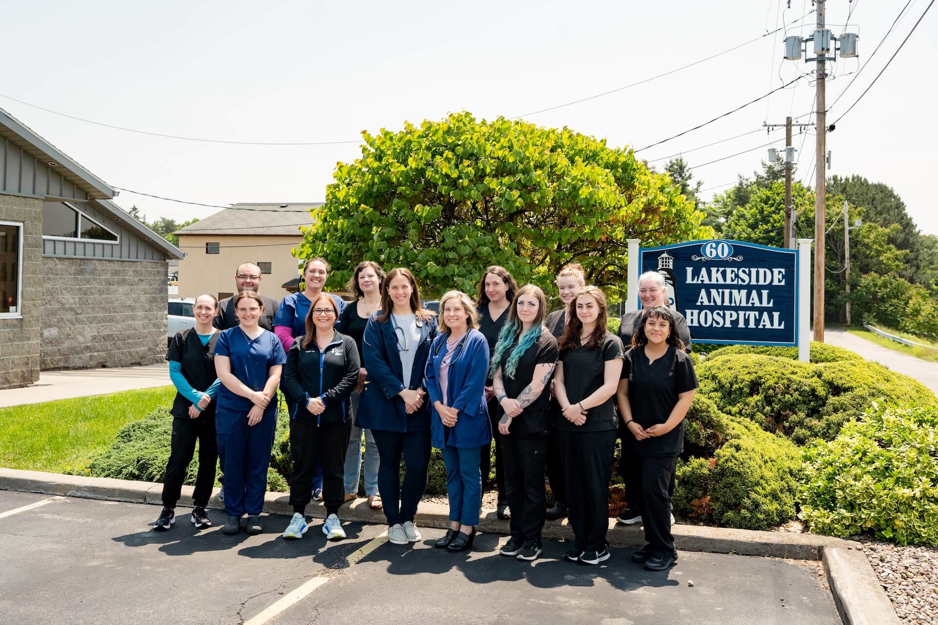 Rochester Veterinary Hospital